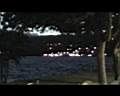 tn_viverone_2002_giugno_28_018.jpg (2450 byte)