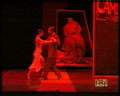 tn_2005.04.09_no_coccia_amordetango_009.jpg (2244 byte)