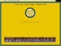 webdesign_corostellalpina.jpg (3917 byte)